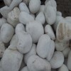 Balti, pulēti, sverami, 13/25 cm, kg 
